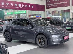 Tesla Model Y Long Range Edition - фото 2