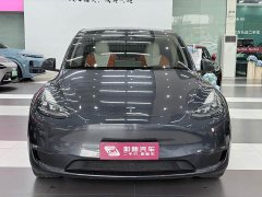 Tesla Model Y Long Range Edition - фото 3