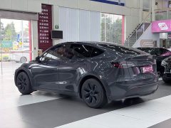 Tesla Model Y Long Range Edition - фото 5