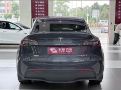 Tesla Model Y Long Range Edition - фото 6