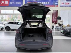 Tesla Model Y Long Range Edition - фото 9