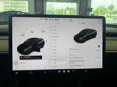 Tesla Model Y Long Range Edition 3D7 - фото 17