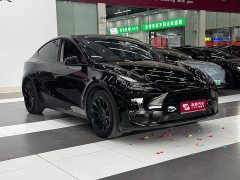 Tesla Model Y Long Range Edition 3D7 - фото 3
