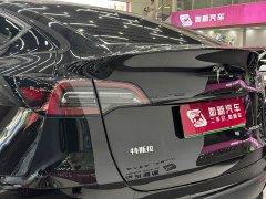 Tesla Model Y Long Range Edition 3D7 - фото 6