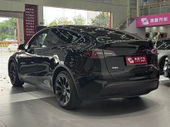 Tesla Model Y Long Range Edition 3D7 - фото 7