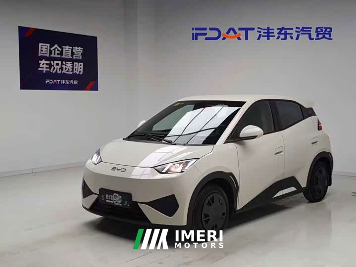 BYD Smart Drive Edition 305km Edition - автомобиль из Китая