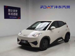 BYD Smart Drive Edition 305km Edition - фото 1