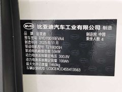 BYD Smart Drive Edition 305km Edition - фото 12