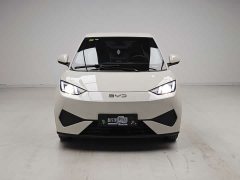 BYD Smart Drive Edition 305km Edition - фото 2