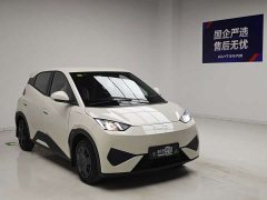 BYD Smart Drive Edition 305km Edition - фото 3