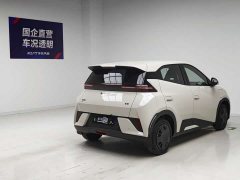 BYD Smart Drive Edition 305km Edition - фото 4