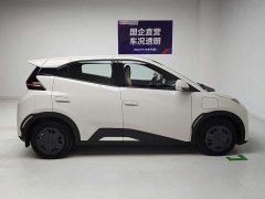 BYD Smart Drive Edition 305km Edition - фото 7