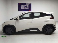 BYD Smart Drive Edition 305km Edition - фото 9