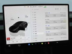 Tesla Model 3 Edition - фото 11
