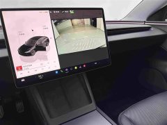 Tesla Model 3 Edition - фото 14