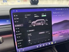 Nio ES8 Luxury Edition - фото 14