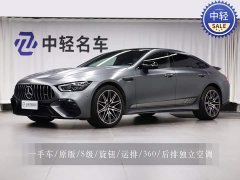 Mercedes-Benz AMG GT AMG GT 50 4MATIC Edition - фото 1