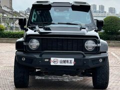 Tank 300 2.0T - фото 2