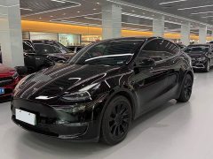 Tesla Model Y Standard Range Edition - фото 1