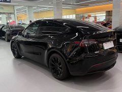 Tesla Model Y Standard Range Edition - фото 10