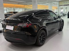 Tesla Model Y Standard Range Edition - фото 11