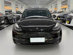 Tesla Model Y Standard Range Edition - фото 2
