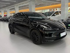 Tesla Model Y Standard Range Edition - фото 3