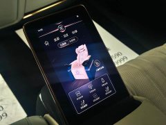 Lexus 2.0T Edition - фото 15