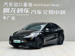 Tesla Model Y Edition - фото 1
