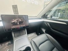 Tesla Model Y Edition - фото 14