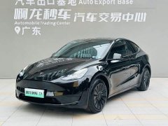 Tesla Model Y Edition - фото 15