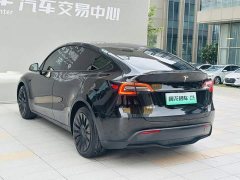 Tesla Model Y Edition - фото 16