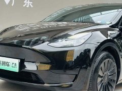 Tesla Model Y Edition - фото 18