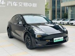 Tesla Model Y Edition - фото 3