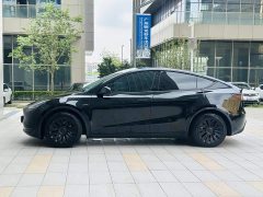 Tesla Model Y Edition - фото 4