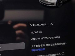 Tesla Model 3 Edition - фото 16