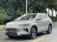 BYD PLUS Edition DM-i 71km Luxury Version - фото 1
