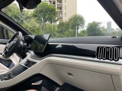 BYD PLUS Edition DM-i 71km Luxury Version - фото 14