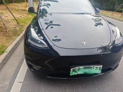 Tesla Model Y Edition - фото 2