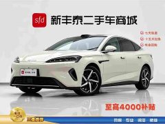 BYD 07 DM-i 1.5T 230km Flagship Version - фото 1