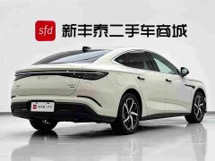 BYD 07 DM-i 1.5T 230km Flagship Version - фото 6