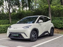 BYD Edition - фото 1