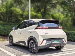 BYD Edition - фото 12