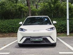 BYD Edition - фото 2