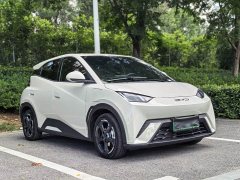 BYD Edition - фото 3
