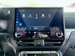 Lexus GX Edition - фото 17