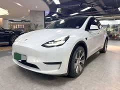 Tesla Model Y Standard Range Edition - фото 1