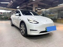 Tesla Model Y Standard Range Edition - фото 3