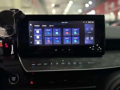 2.0GVP Luxury Edition - фото 9