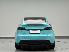 Tesla Model Y 2022 long-range all-wheel drive version - фото 7